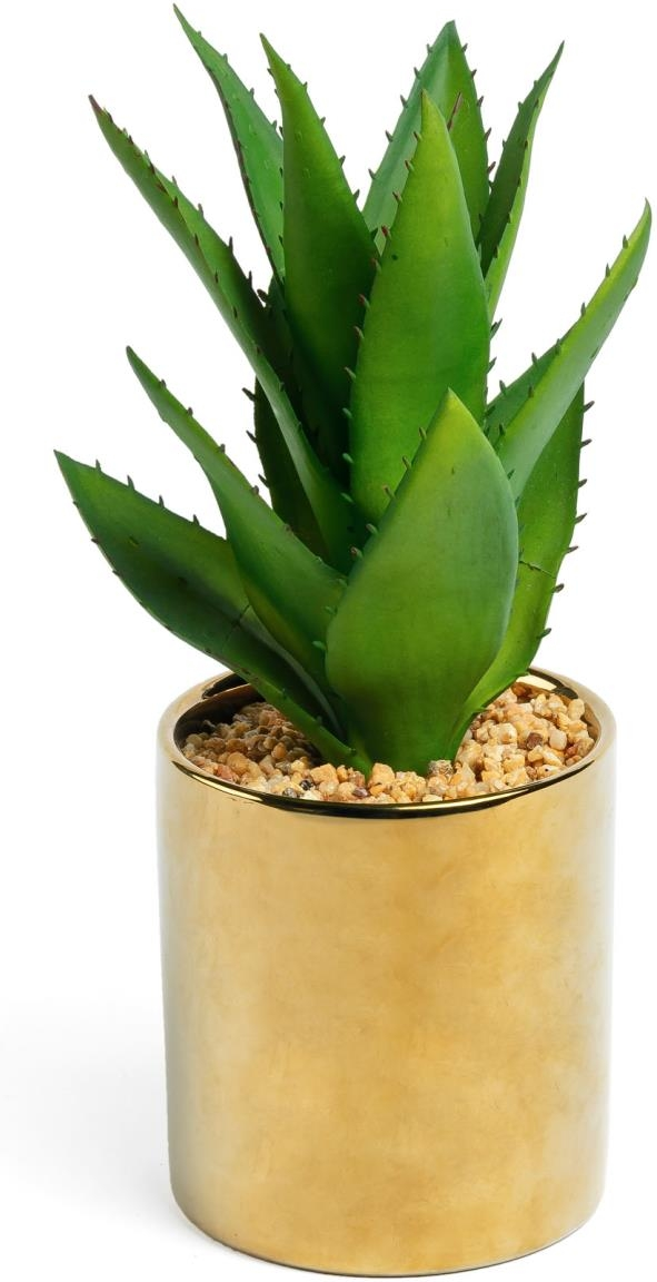 Agave, Kunstig plante, guld/grøn, H11x20x20 cm