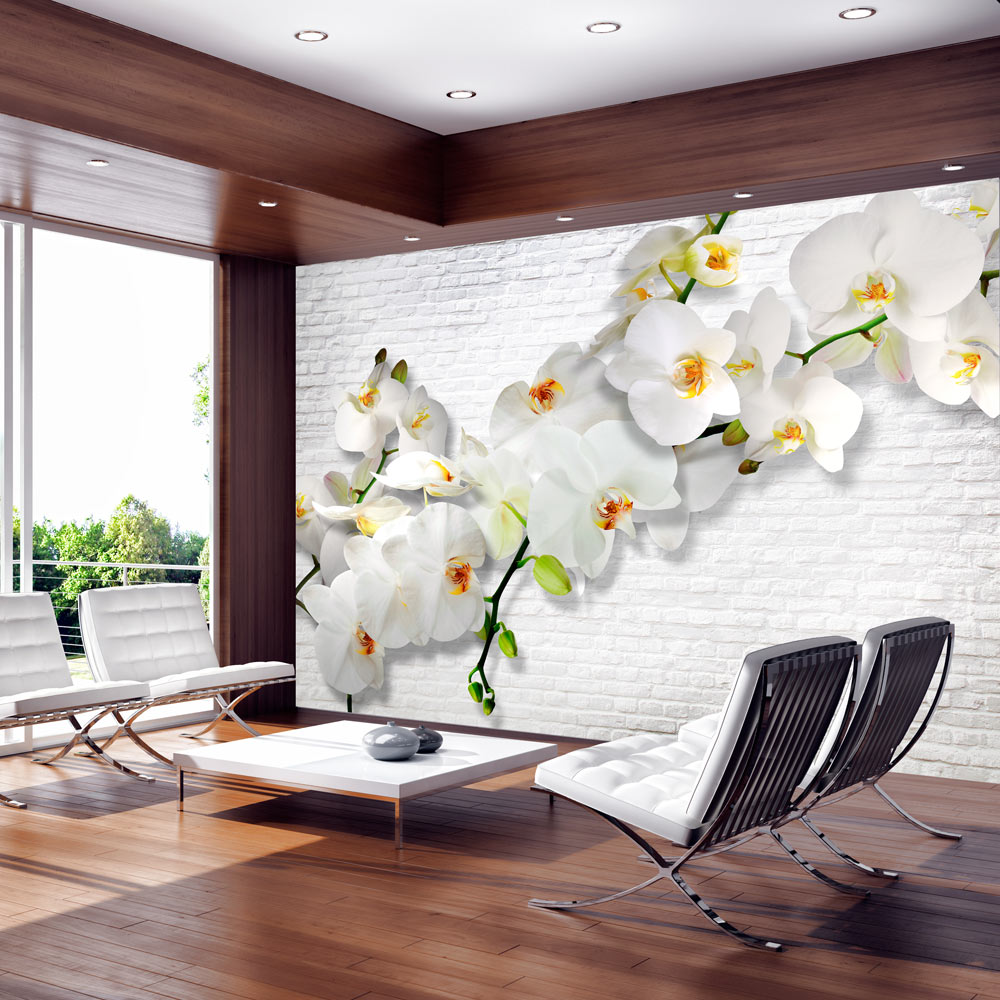 ARTGEIST fototapet - The Urban Orchid, hvid smuk orkidé (flere størrelser) 400x280